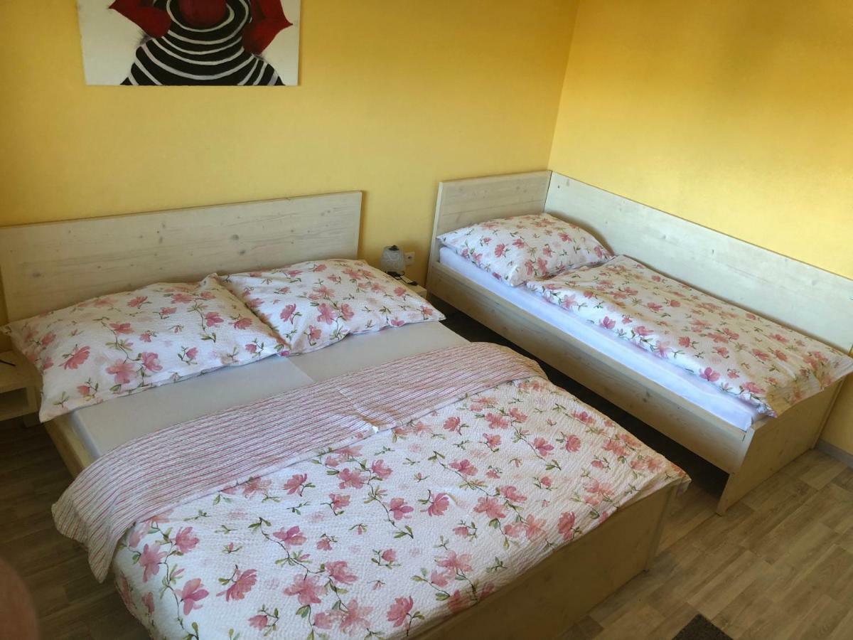 Hekel'S Privat Apartment Závažná Poruba Bagian luar foto